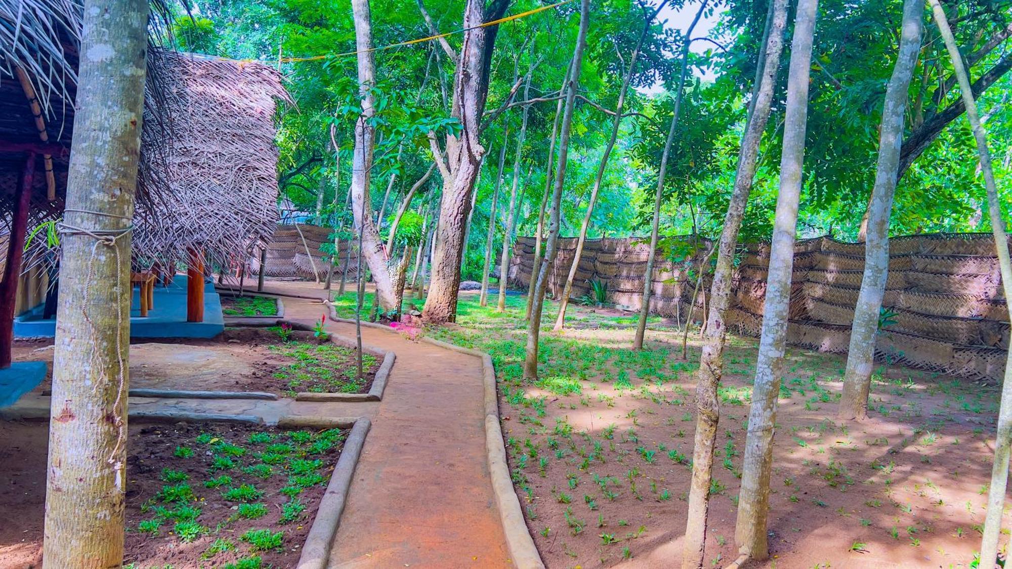 Jungle Host Hostel And Tree House Sigiriya Exterior foto