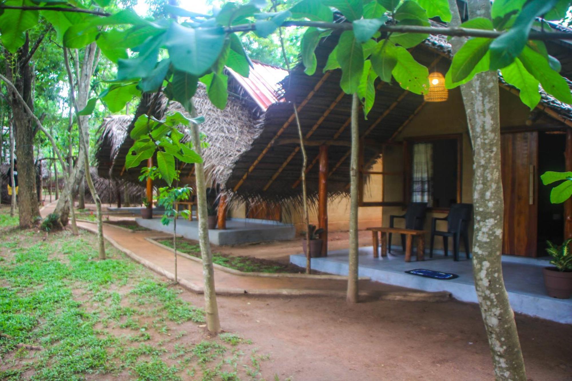 Jungle Host Hostel And Tree House Sigiriya Exterior foto