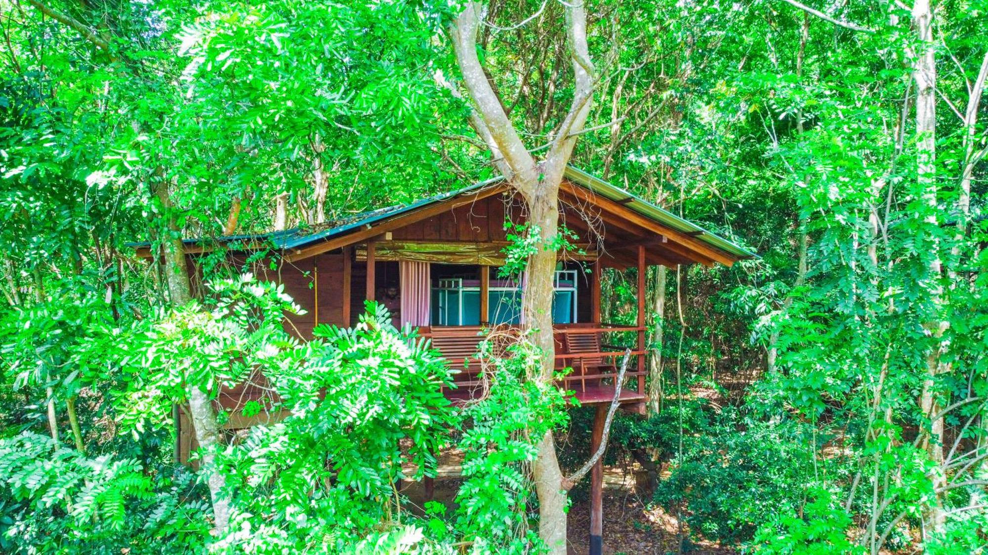 Jungle Host Hostel And Tree House Sigiriya Exterior foto