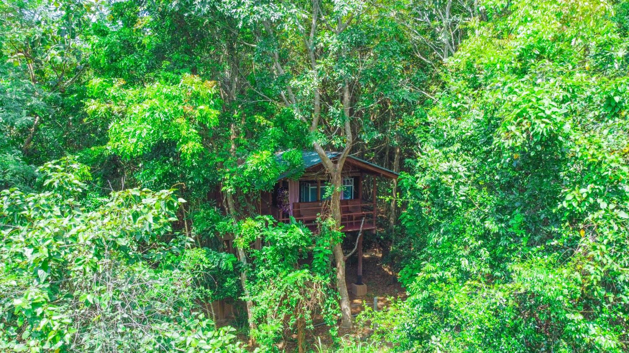 Jungle Host Hostel And Tree House Sigiriya Exterior foto