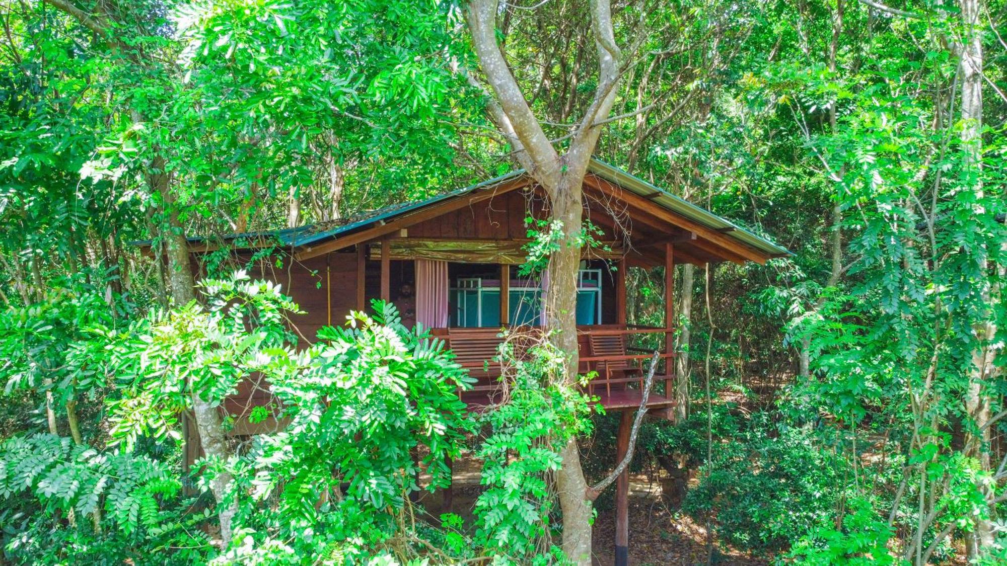 Jungle Host Hostel And Tree House Sigiriya Exterior foto