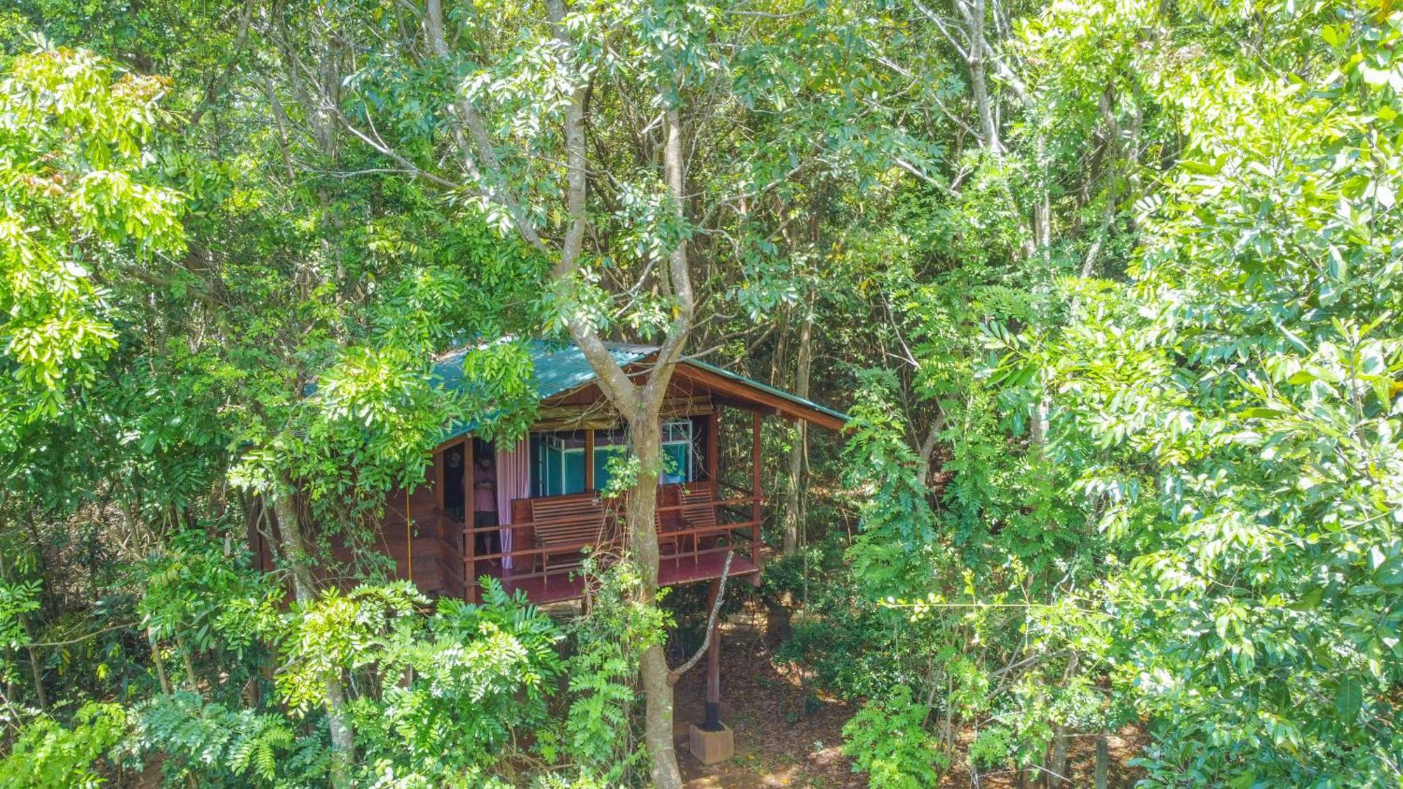 Jungle Host Hostel And Tree House Sigiriya Exterior foto