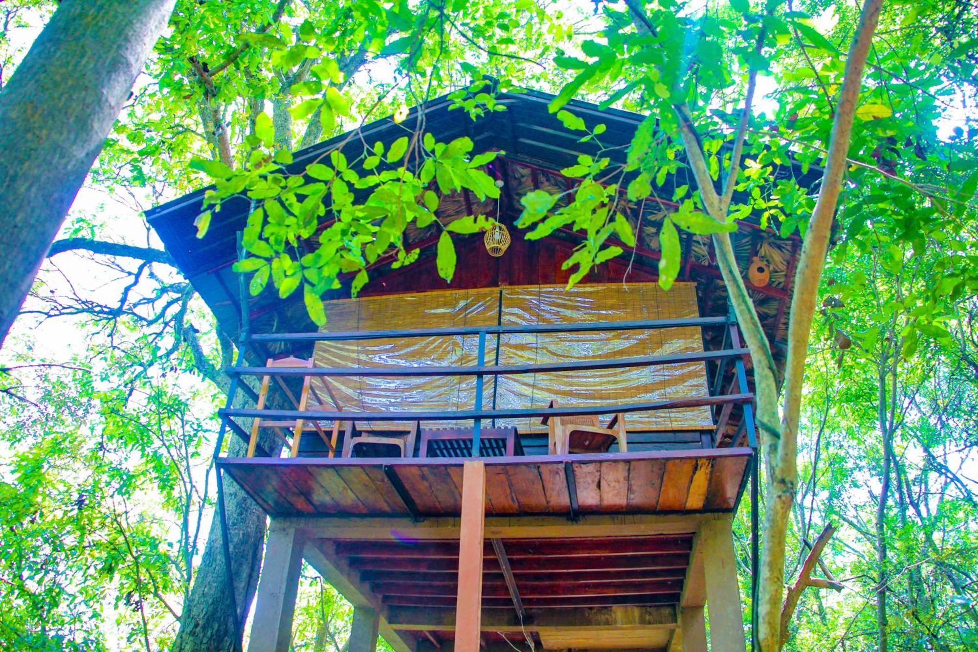 Jungle Host Hostel And Tree House Sigiriya Exterior foto