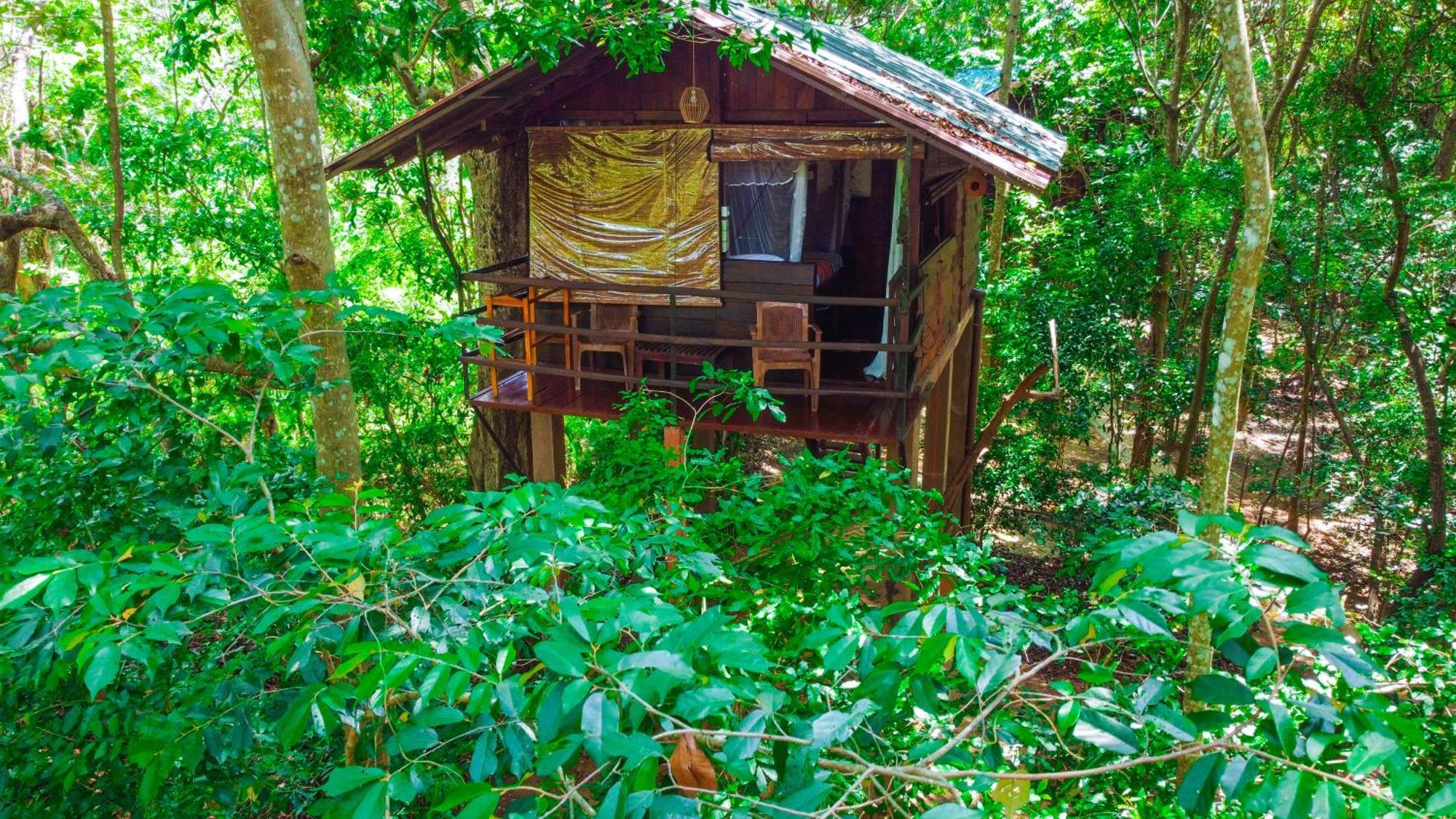 Jungle Host Hostel And Tree House Sigiriya Exterior foto